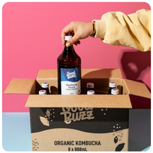 Load image into Gallery viewer, Blueberry Peach Kombucha 888ml 8-pack