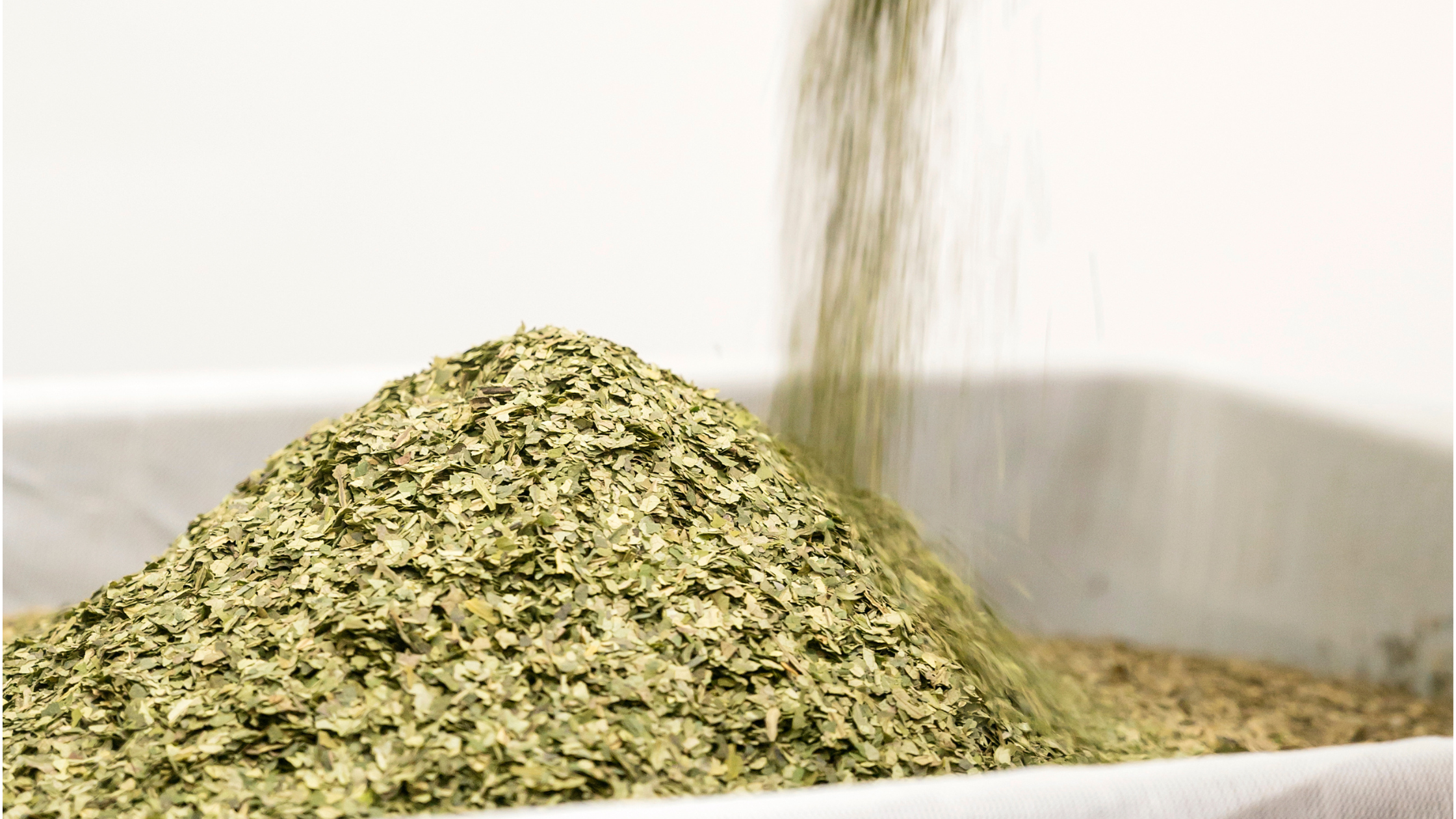 The Power of Native Herbs
