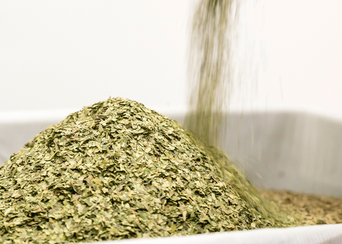 The Power of Native Herbs