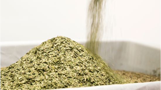 The Power of Native Herbs