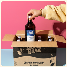 Load image into Gallery viewer, Blueberry Peach Kombucha 888ml 8-pack
