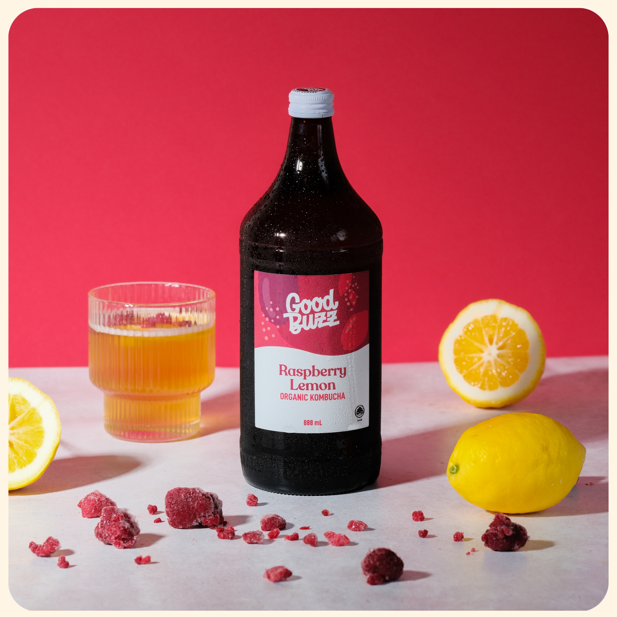 Raspberry Lemon Kombucha 888ml 8-pack