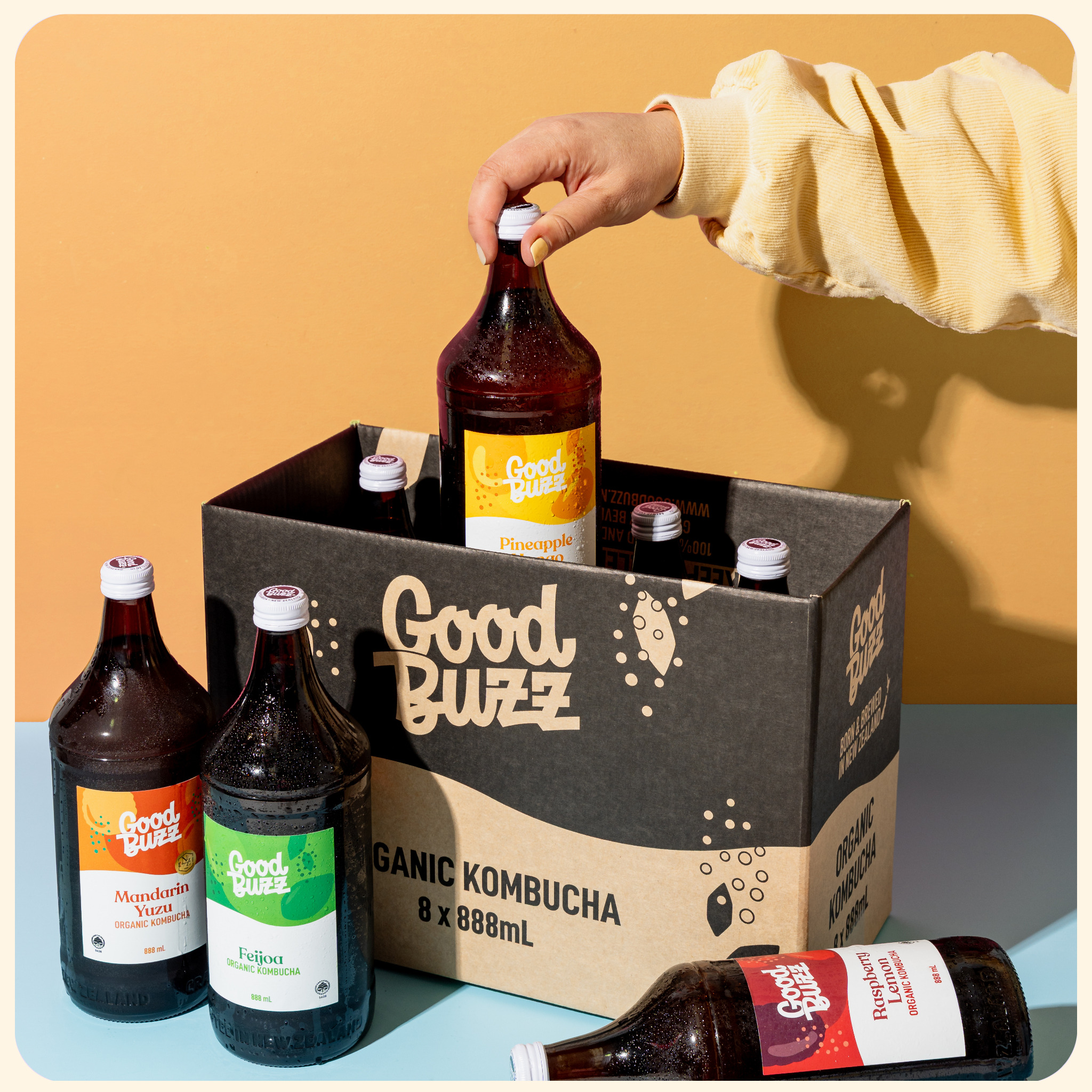 Mixed 888mL 8-pack