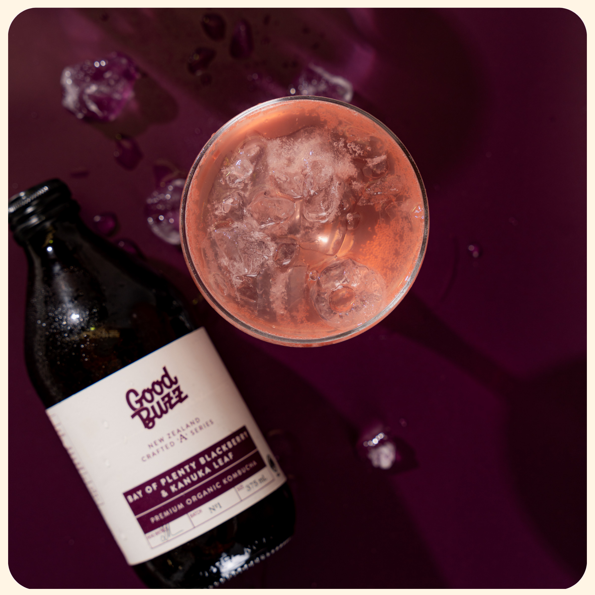 BOP Blackberry & Kanuka Leaf Kombucha 375ml 12-Pack