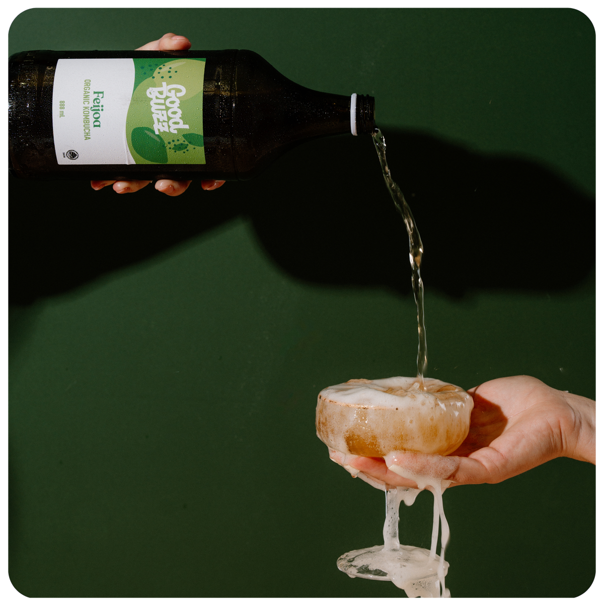 Feijoa Kombucha 888ml 8-pack