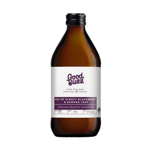 BOP Blackberry & Kanuka Leaf Kombucha 375ml 12-Pack