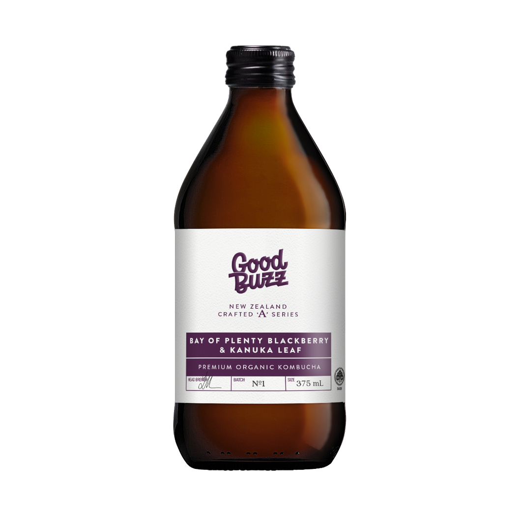 BOP Blackberry & Kanuka Leaf Kombucha 375ml 12-Pack