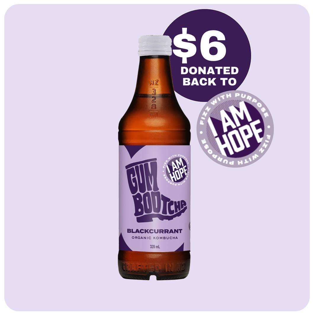 Gumbootcha Blackcurrant  328ml 12-Pack