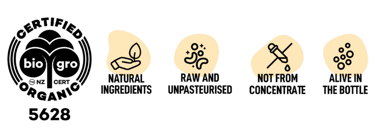 Real ingredients. Real benefits. Real booch. Unreal taste.